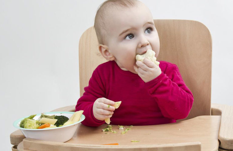 ÇOCUKLUK ÇAĞI OBEZİTESİNİ ENGELLEYEN UMUT IŞIĞIBLW (Baby Led Weaning